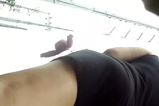 Két üsző nagymellu milfek ütése kibaszott vulgáris punciban.